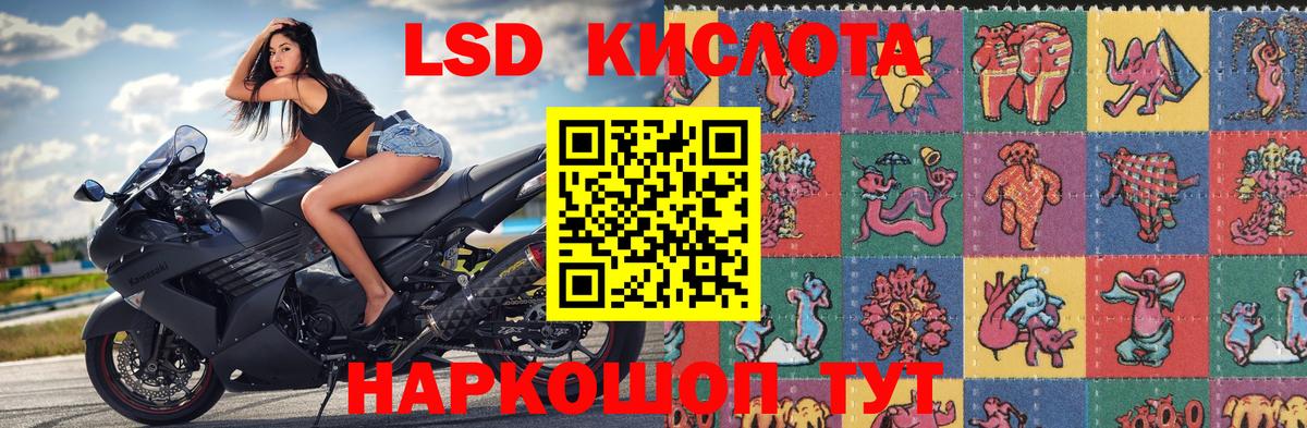 Марки 25I-NBOMe  Вход с VPN  Камышлов  Марки 25I-NBOMe 1,5мг 