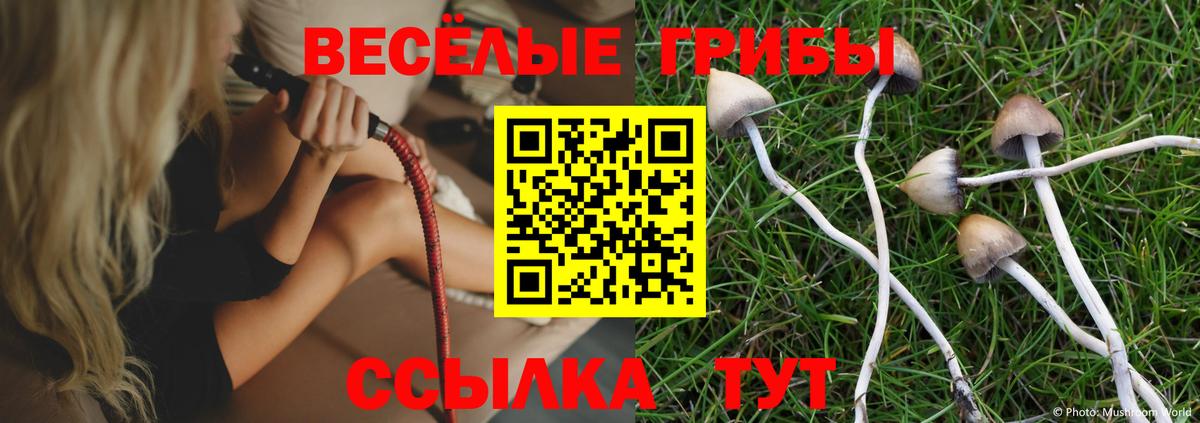 Псилоцибиновые грибы Magic Shrooms Камышлов