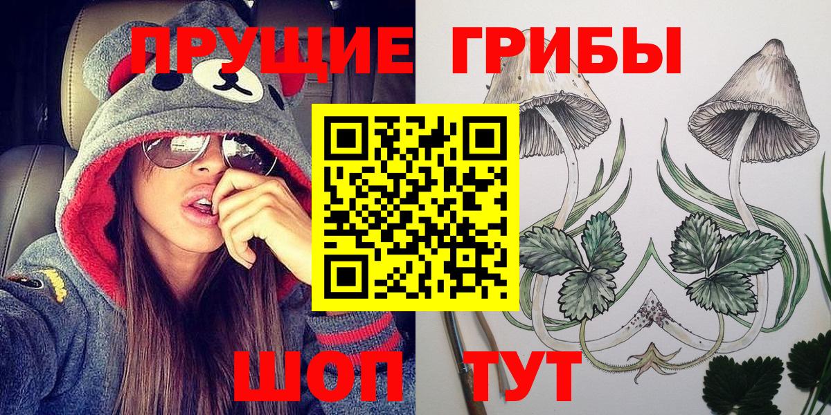 Галлюциногенные грибы Psilocybine cubensis  Вход с VPN  Псилоцибиновые грибы мухоморы  Камышлов 